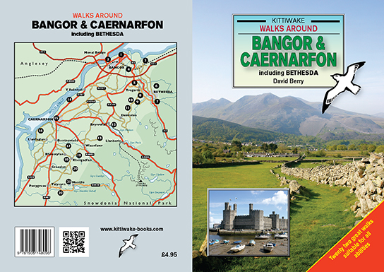 Bangor and Caernarfon